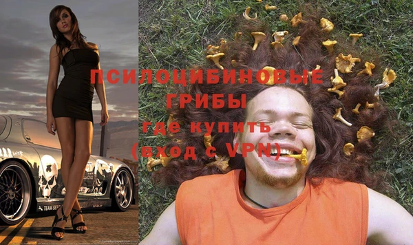 гидропоника Абдулино
