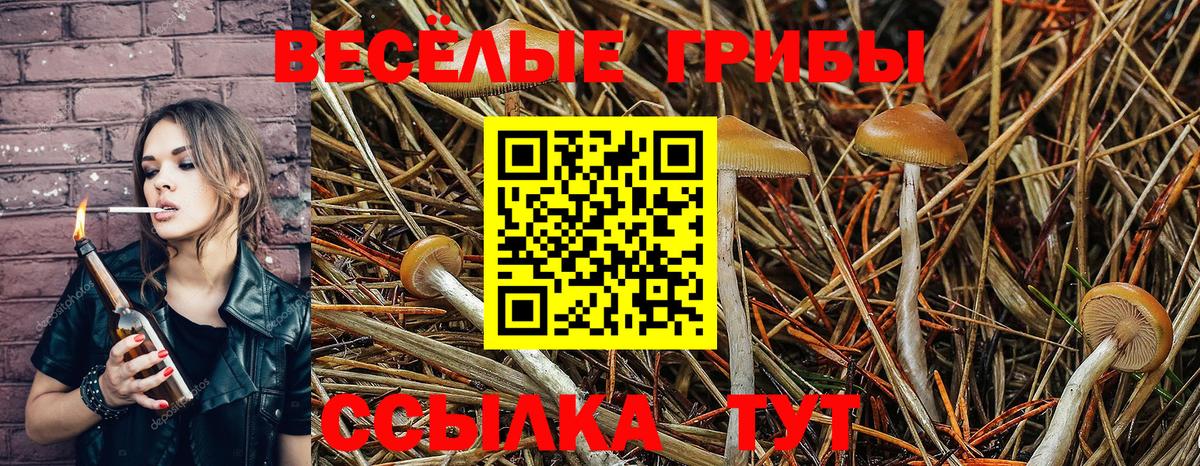 Стрежевой  Галлюциногенные грибы мухоморы  Вход с VPN  Галлюциногенные грибы Magic Shrooms 